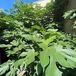ホテル Boncza