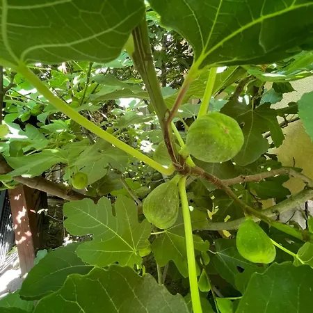 Boncza Hotel Szczecin